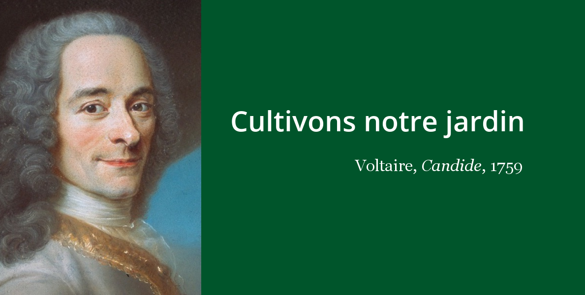 Voltaire Cultivons Notre Jardin L Histoire En Citations