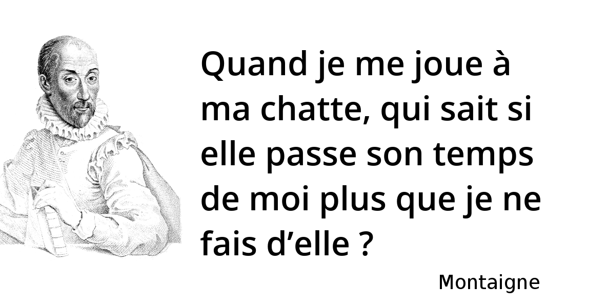 son à grand pour ma chatte