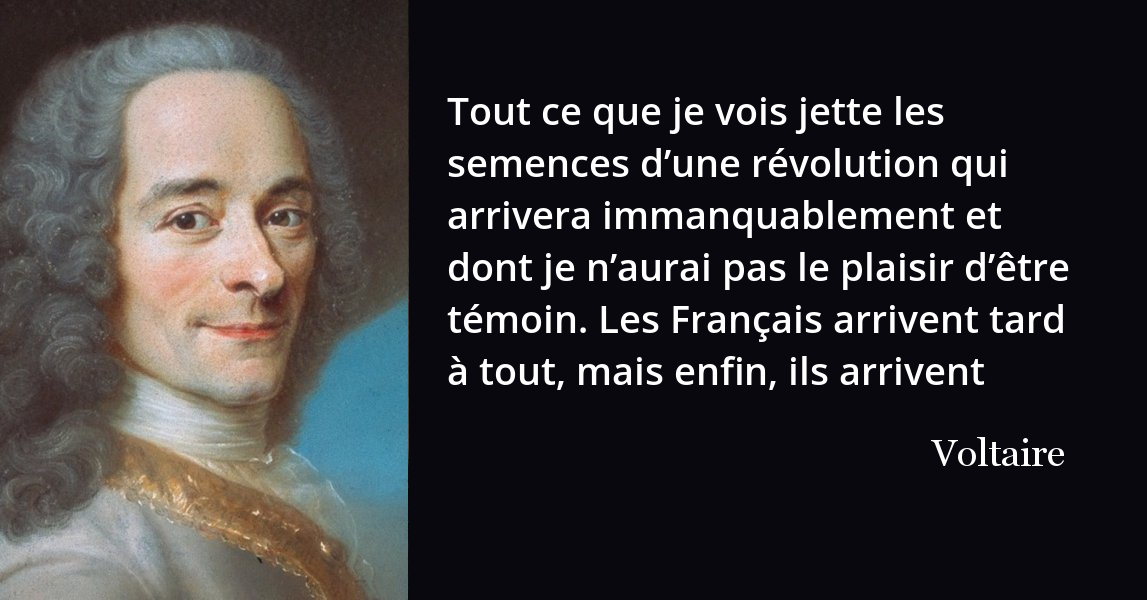 Voltaire Tout Ce Que Je Vois Jette Les Semences D Une Revolution Qui Arrivera Immanquablement L Histoire En Citations