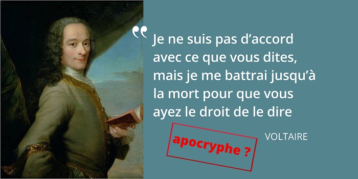 Voltaire citation