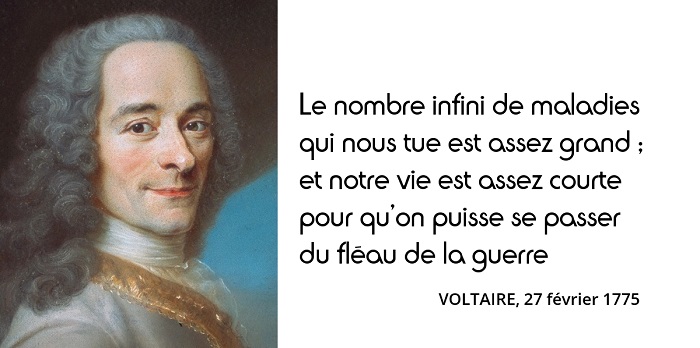 Voltaire guerre citation