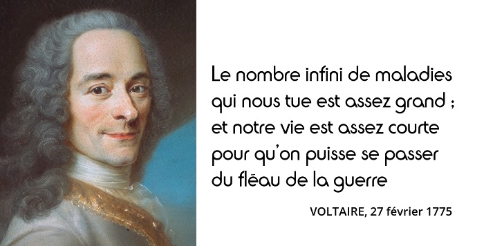 voltaire citation guerre